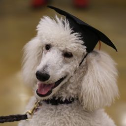 photograph by PeterW